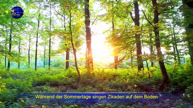 Christliches Lied | Alles lebt innerhalb den von Gott festgelegten Regeln und Gesetzen