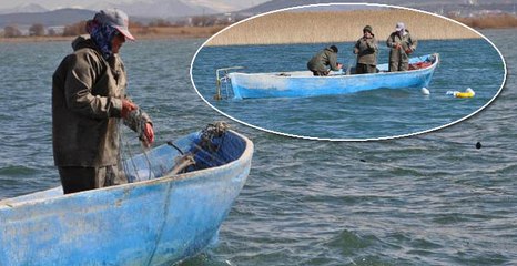 Balıkçı kadınların zorlu mücadelesi