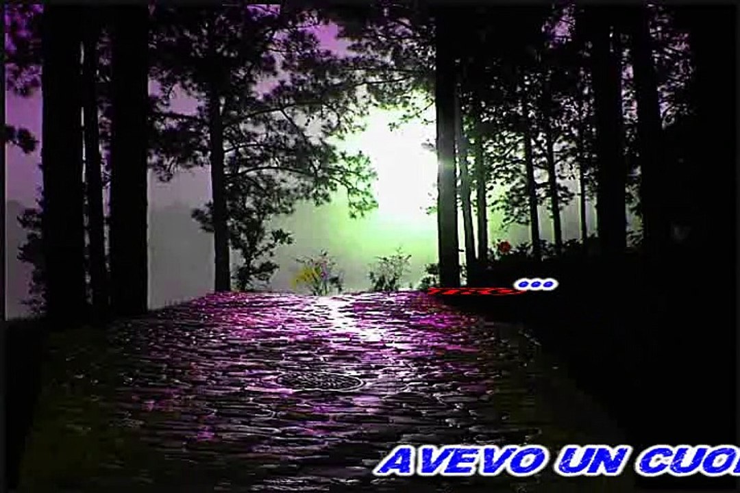 Mino Reitano - Avevo un Cuore che ti amava tanto (karaoke)