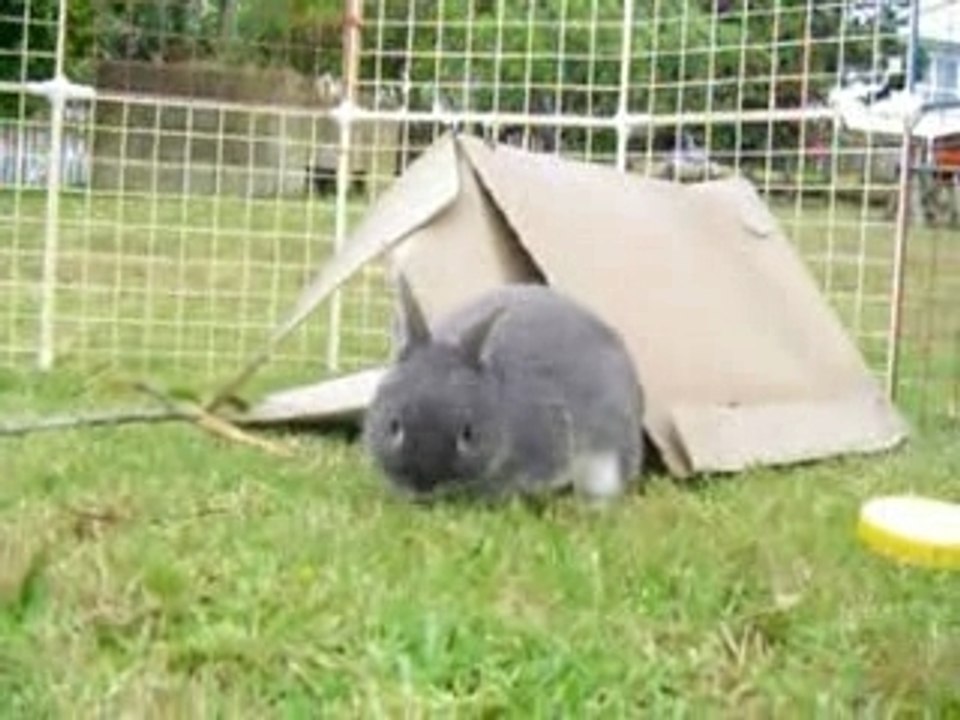 Kura outside w00t