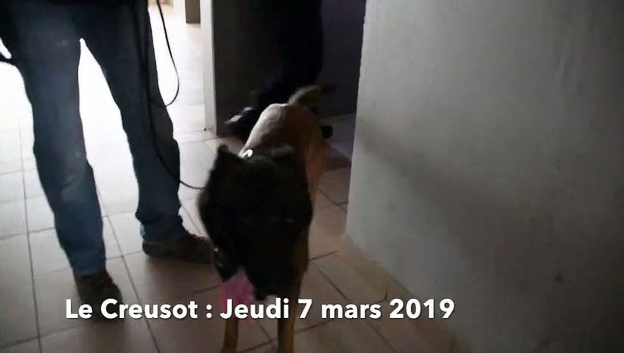 LE CREUSOT : Opération anti stupéfiants tour M au Tennis