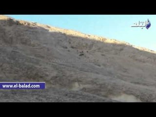 مغامرة الماعز والاغنام في تسلق قمة جبل حمام موسى بطور سيناء