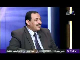محمد العمدة:ستعاد الانتخابات اذا قبل قانون العزل