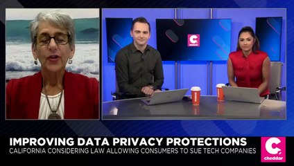 California State Senator Aims to Give Consumers the Right to Sue Big Tech (02:10)