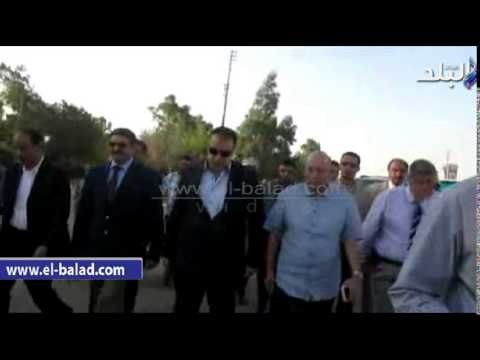 مشروع لإنتاج البيض الخالي من الأمراض في الفيوم بسعر 7 جنيهات للبيضة