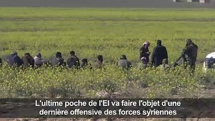 Syrie: l'ultime réduit de l'EI abandonné par ses habitants