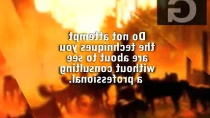 Dog Whisperer S03E03 Molly, Jane and Genoa