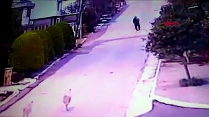 Şiddet uyguladığı köpeğin kör ve sağır olmasına neden oldu