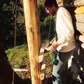 Building an amazing treehouse in forest