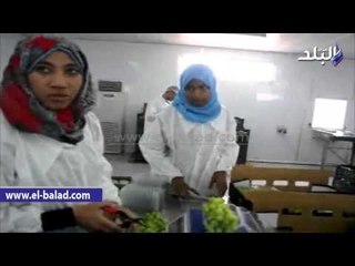 " على بياعين العنب".. الأقصر الأولى في الشرق الأوسط فى تصدير عنب "السوبيريور"