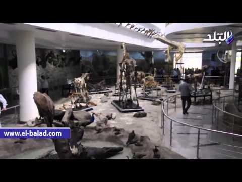 محلب ووزيرا الزراعة والرى يفتتحون المتحف الحيوانى بعد تطويره