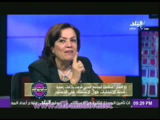 منى ذو الفقار: هناك موادفى الدستورلم تطرح فى التاسيسية