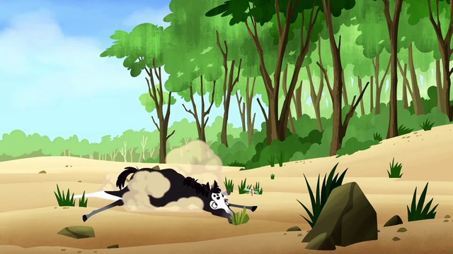 Wild Kratts Ponies in the Wild! Kids Videos