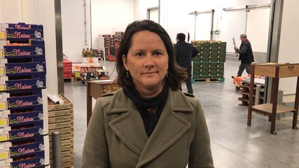 Johanna Rolland, la présidente de  Nantes métropole a visité le nouveau Min