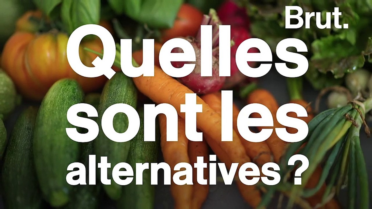 "Hérésie agronomique" vs "unique alternative" : Faut-il interdire totalement le glyphosate ?