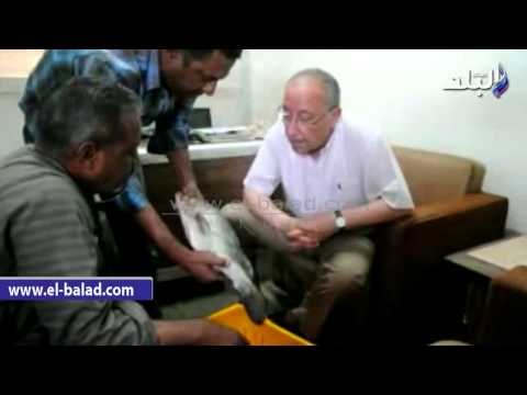 . يسري: منافذ لبيع منتجات المجمع السمكي بمراكز أسوان المختلفة