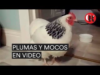 El #Fail más grande al querer ser #sexy- Contra Réplica: #DondeTodosTienenVoz