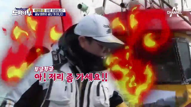 마지막은 역시 킹태곤! 집념의 감성돔 3짜 겟♡겟♡