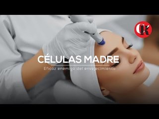 Células Madre, eficaz enemigo del envejecimiento.
