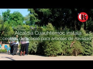 Centro de acopio para árboles de Navidad en CDMX.