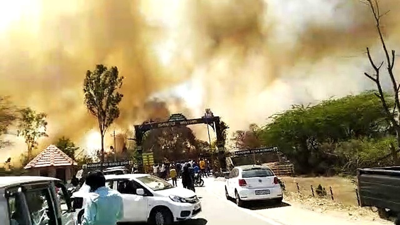 Wild fire India-1