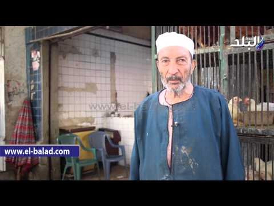تجار الطيور والأسماك: لا صحة لانتهاز غلاء أسعار اللحوم