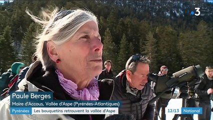 Pyrénées-Atlantiques  : les bouquetins retrouvent la Vallée d'Aspe