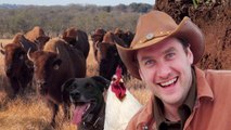 Brad Goes Ranching