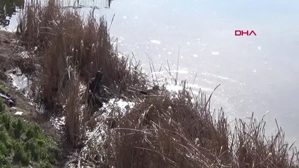 Dha İstanbul- Maltepe'de Gölette Kadın Cesedi Bulundu