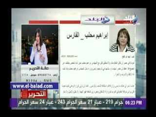 عزة مصطفى : مقال " إبراهيم محلب – الفارس" للكاتبة إلهام أبو الفتح جديربالقراءة