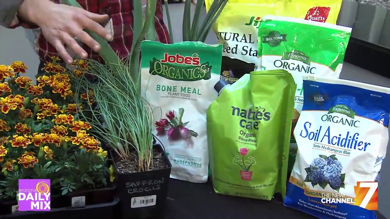 How Does Your Garden Grow?