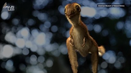 Turns Out T. Rex Babies Were Actually Adorable Fluff Balls