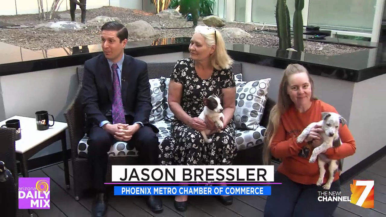 Spring Pet Adoptions