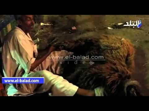 عم سمير حلاق المواشى الوحيد فى المدبح لـ صدى البلد