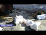 القمامة تحاصر مدارس بورسعيد قبل انطلاق العام الدراسى بساعات و69 مدرسة خارج الخدمة والغاء اجازة العيد