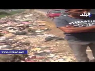 "مسئولة وحدة محلية بالدقهلية للأهالى :"اتفوا عليكم كلكم "