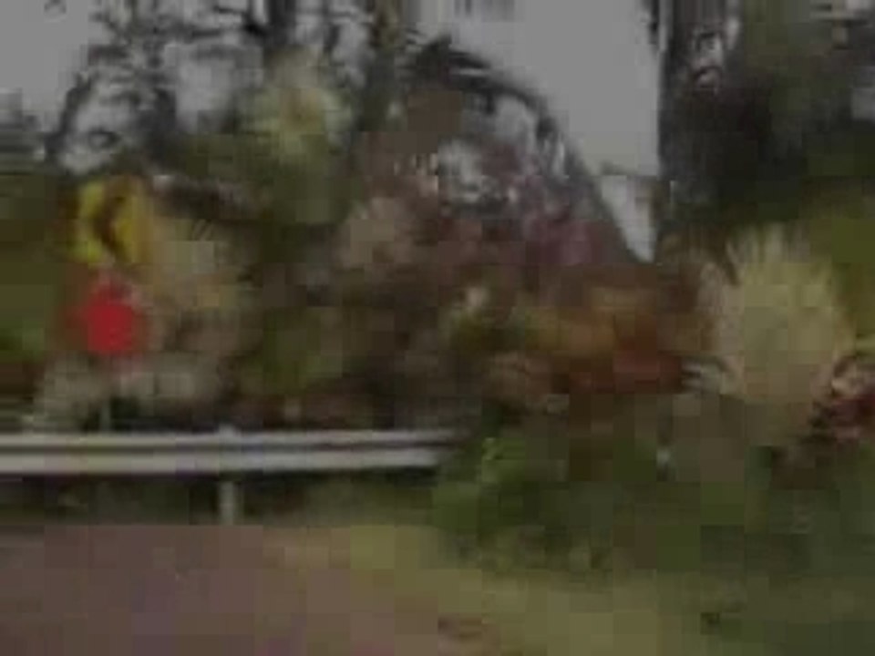 Big Island Hawaii Real Estate - Ainaloa Subdivision