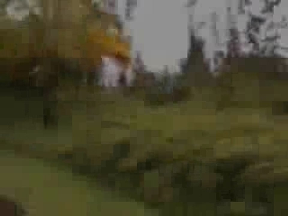 Big Island Hawaii Real Estate - Hawaiian Beaches