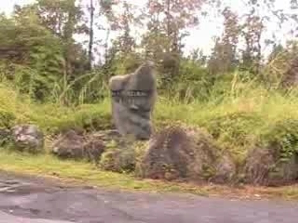 Hawaii Island Real Estate - Hawaiian Acres Subdivision