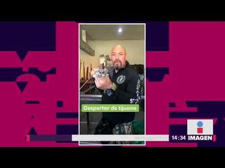 Amenazan con marcar en la frente a los ladrones con hierro caliente | Noticias con Yuriria Sierra