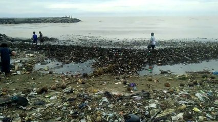 Call to action to save oceans