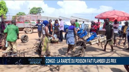 Congo: Fish scarcity drives prices up