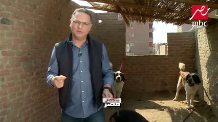 بعد تعدد وقائع هجوم كلاب شرسة على مواطنين. شاهد جيدا لتحمي نفسك