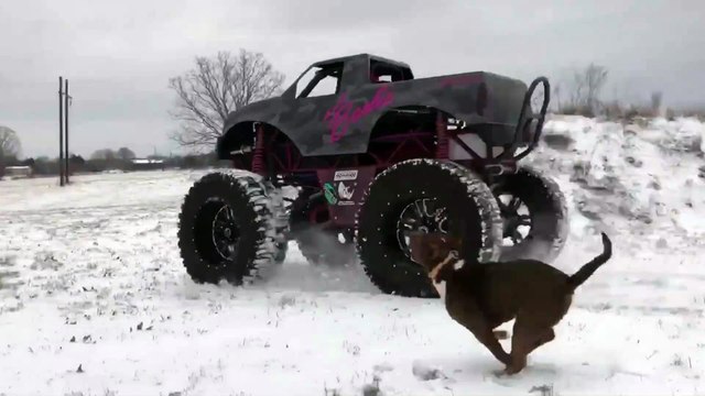 Monster Truck Doing Donuts in the Snow