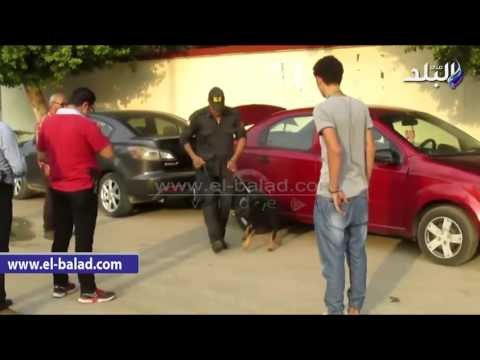 #صدى_البلد | صدى البلد ترصد لجان الفيوم قبل بدء التصويت بالانتخابات البرلمانية