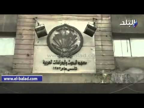 صدى البلد | تظاهر العاملين بالأوقاف أمام الهيئة للمطالبة بصرف المرتبات