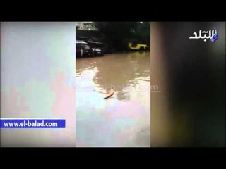 صدى البلد | أهالى كفر الدوار : المسئولون بالمدينة اصطحبوا رئيس الوزراء للأماكن الجافة