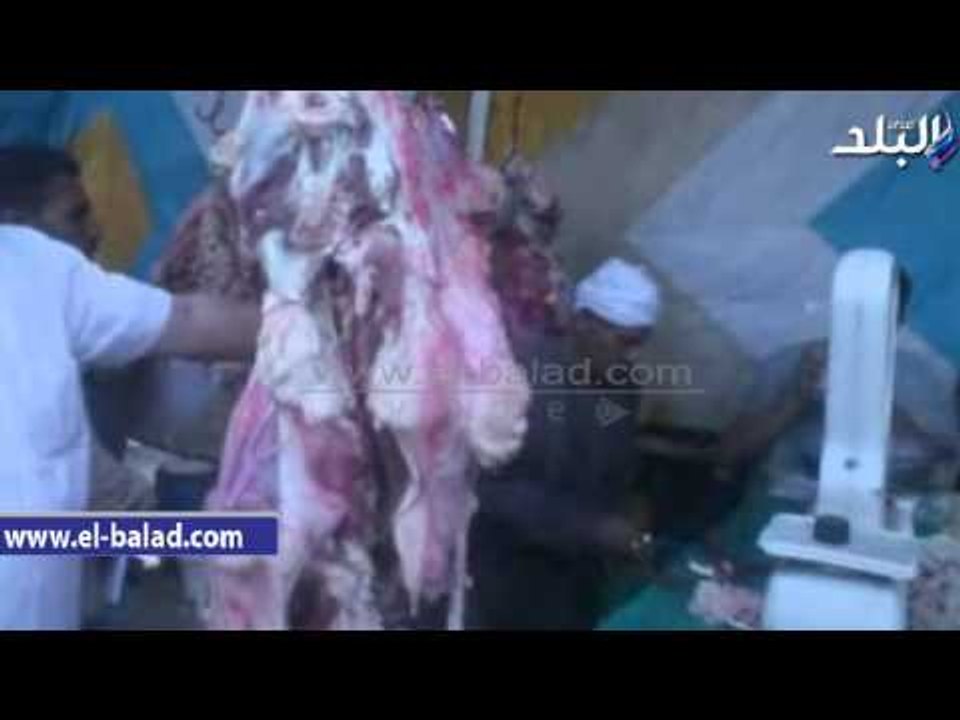 صدى البلد |  محافظ الفيوم: استمرار طرح اللحوم المدعمة طوال العام بمنافذ التوزيع