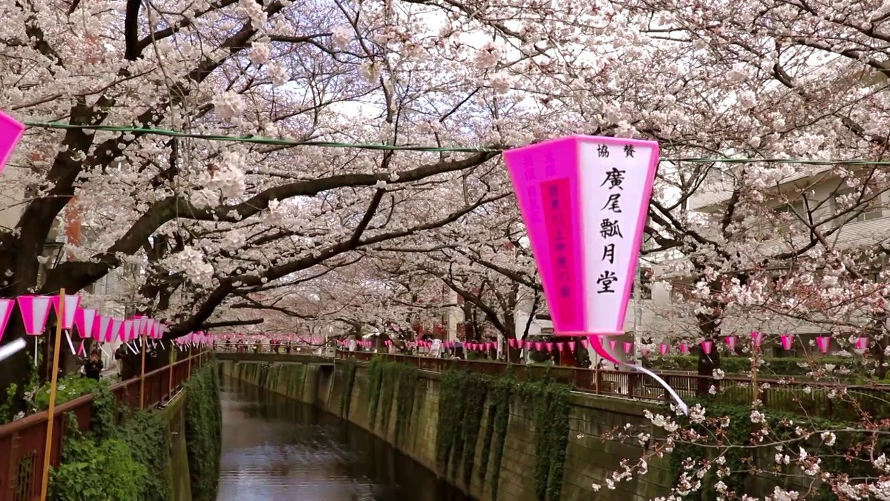 Voyage Japon Printemps 2018