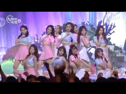 [MPD직캠] 아이오아이 직캠 Dream Girls I.O.I Fancam @엠카운트다운_160505